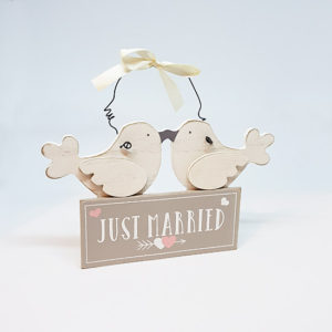 just married love birds