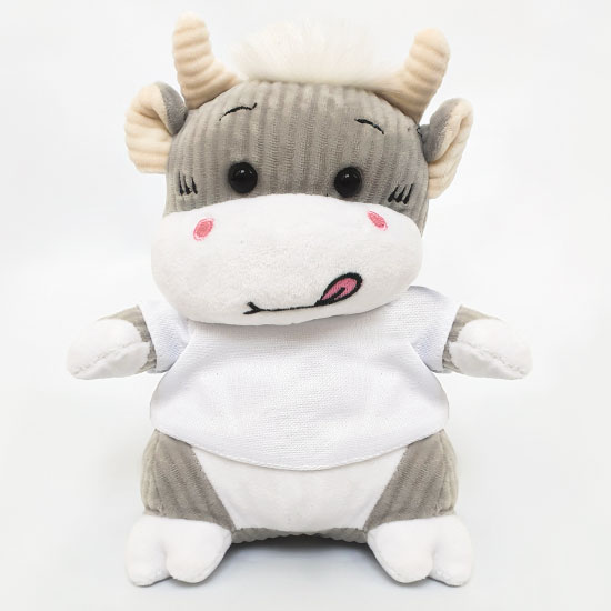 Add Your Own Photo Teddy Bear (Choose Teddy) - Image 5