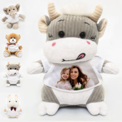 Add Your Own Photo Teddy Bear (Choose Teddy)